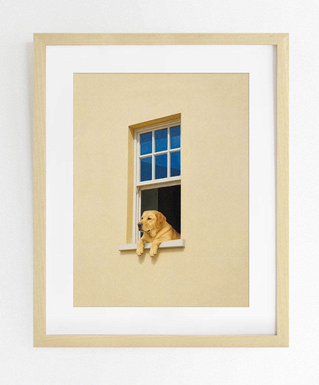 Ventana Viva