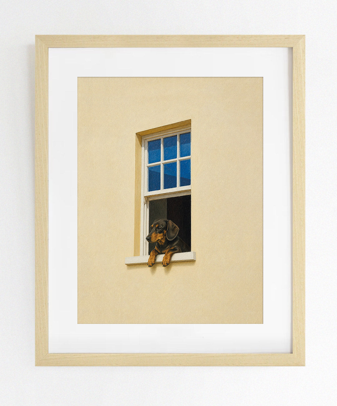 Ventana Viva