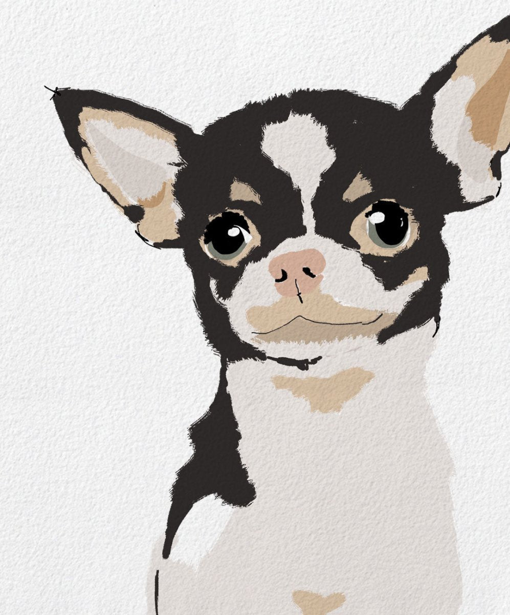 Ilustração Personalizada de Animais - Ilustrações Personalizadas Catita illustrations