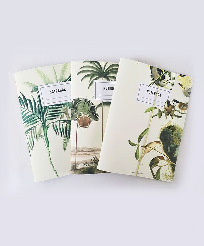 Pack Cadernos Natureza - Cadernos Catita illustrations