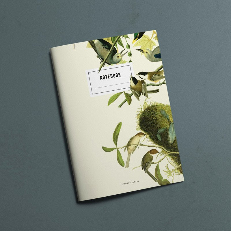 Pack Cadernos Natureza - Cadernos Catita illustrations