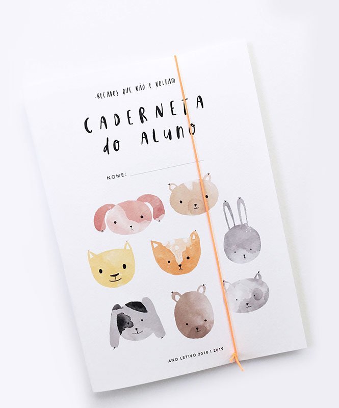 Pack Regresso à Escola - Cadernos Catita illustrations