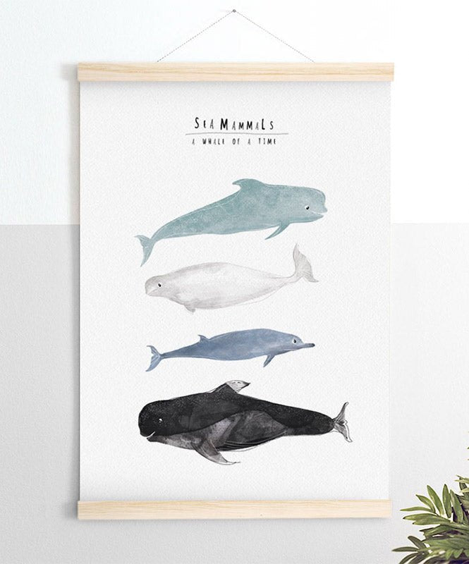 Poster Sea mammals for kids - Posters Catita illustrations